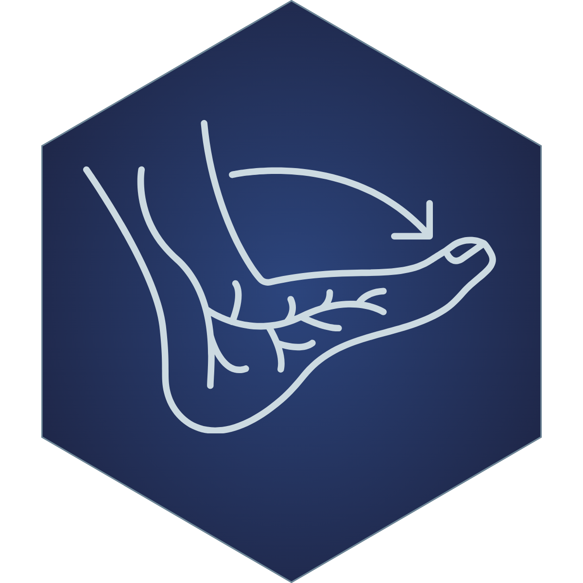 Neuropathy Treatment icon