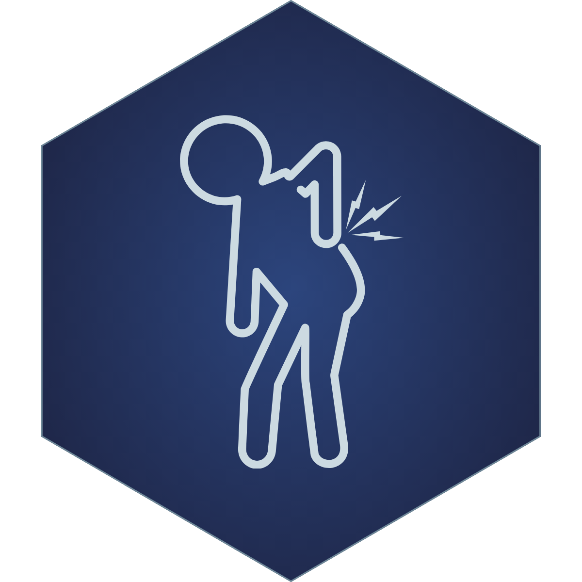 Low Back Pain Icon